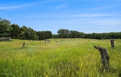6.24 Acres W Tyler Road, Mears, MI 49436