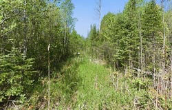 County Highway J, Deerbrook, WI 54424