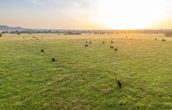 000 South 74th St W. 80 acres, Oktaha, OK 74401
