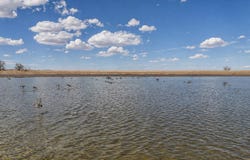 38250 COUNTY RD 170, Agate, CO 80101