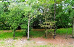 2158 Mcneil Washington Drive, Charleston, SC 29412