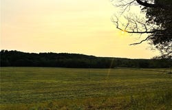 000 State Highway D, Greenville, MO 63944