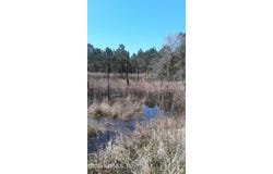 5210 CO RD 214, Keystone Heights, FL 32656