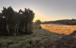 0 Dewclaw Rd, Red Feather Lakes, CO 80545
