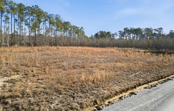 6221 Ellwood Rd., Galivants Ferry, SC 29544