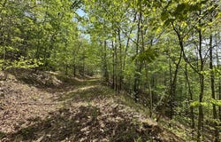 31 Clay Camp Road, Grayson, KY 41143