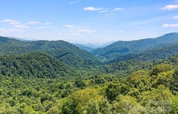 16 Mountain Gait Drive unit: 16, Mars Hill, NC 28754