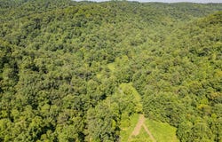 1995 Lower Cane Creek Road, Stanton, KY 40380