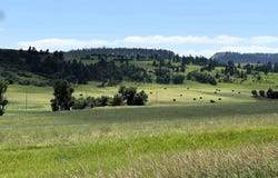 E20 Holmes Road, Hulett, WY 82720