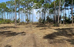 Lot 4 Heron Bay Ln, Port St. Joe, FL 32456