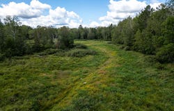 48029 110th Place, Tamarack, MN 55787