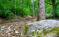 Shadowwood Drive, Spruce Pine, NC 28777