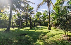 28-238 AKAKA FALLS RD, Honomu, HI 96728