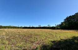 TBD Moselle Road, Islandton, SC 29929