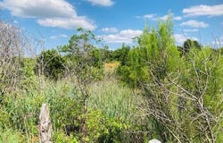 1900 CR 116B, Burnet, TX 78611