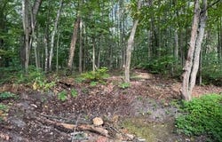 #4 S Perch Lake Drive, Gaylord, MI 49735