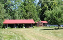 136 Ray Road, Mio, MI 48647