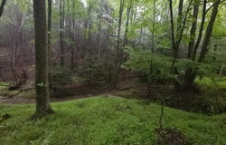 0 SPRIGGLE HOLLOW ROAD, ELLIOTTSBURG, PA 17024