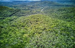 000 NC 2900, Marble Falls, AR 72648