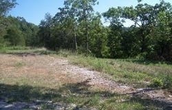 Lot 125 Beechwood Drive, Branson West, MO 65737