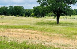 103 County Road 536, Eastland, TX 76448