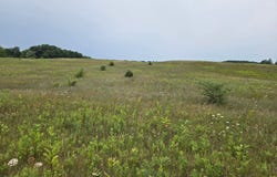 Parcel G Water Road, Hart, MI 49420