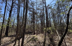 N Circle Road, Lexington, MS 39095
