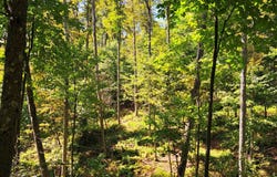 21 Doe Run Road, Galeton, PA 16922