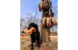 107 SE 40th RD, Lamar, MO 64759