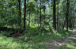 82 CABIN ROAD, AUGUSTA, WV 26704