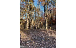 TIMBERLINE RIDGE Road, FRONT ROYAL, VA 22630