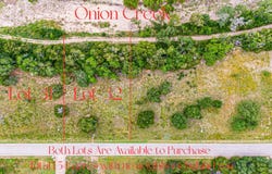 420 Onion Creek LN, Driftwood, TX 78619