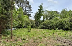 1436 Claxton Avenue, Elba, AL 36323