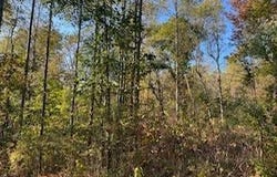 136 Malmaison Headquarters Rd, Holcomb, MS 38940