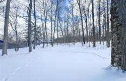 6 Knoll Tree Road, Ithaca, NY 14850