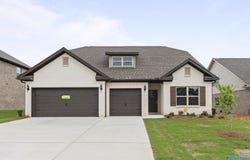 185 Saddle Street, New Market, AL 35761