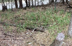 Oak Leaf Circle lot: 93, Garfield, AR 72732
