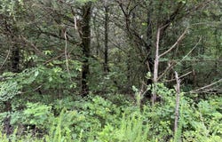 001 Clark Lane, Horseshoe Bend, AR 72512
