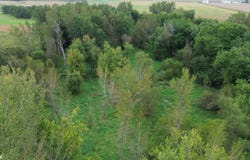 34 Acres Highway 30, Wheatland, IA 52777