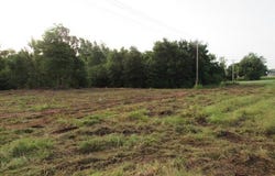 00 FM 645, TENNESSEE COLONY, TX 75861