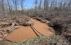 Tbd Gulley Road, Maple, WI 54854