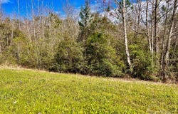Lot 15-c Hwy 29, Molino, FL 32577