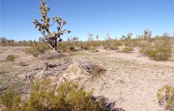 319-08-169 N Kingman Drive, Dolan Springs, AZ 86441