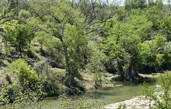 705 Elbel Bend, Spring Branch, TX 78070