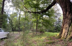 -00 Curlie Seal Rd, Picayune, MS 39466