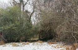 MAIN, MADISON, VA 22727