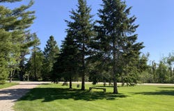 1391 Mann Road, Cheboygan, MI 49721