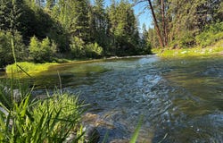 12 Trap Club Lane, Thompson Falls, MT 59873