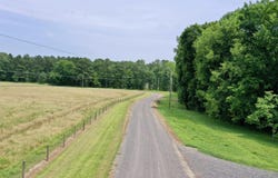 425 Sunshine Lane, Pangburn, AR 72121