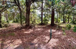 Lot 134 Sapelo Park Drive NE, Townsend, GA 31331